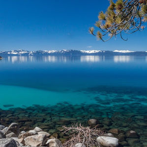 Meet your Posher, Staci